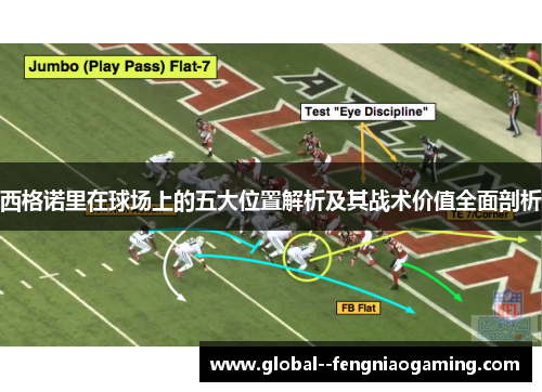 西格诺里在球场上的五大位置解析及其战术价值全面剖析