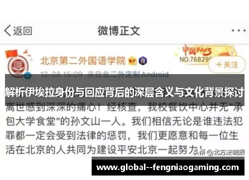 解析伊埃拉身份与回应背后的深层含义与文化背景探讨 解析伊埃拉身份与回应背后的深层含义与文化背景探讨