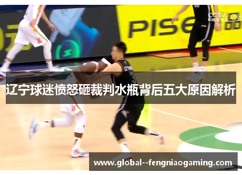 辽宁球迷愤怒砸裁判水瓶背后五大原因解析