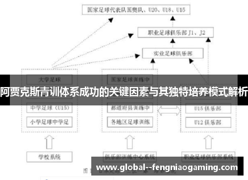 阿贾克斯青训体系成功的关键因素与其独特培养模式解析 阿贾克斯青训体系成功的关键因素与其独特培养模式解析
