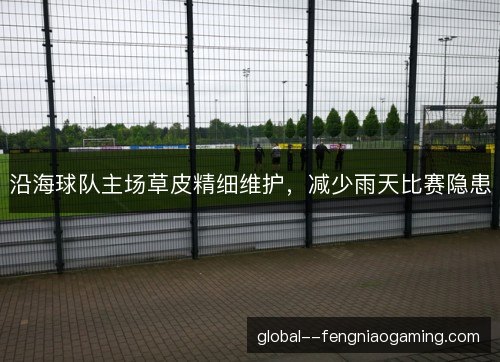 沿海球队主场草皮精细维护，减少雨天比赛隐患